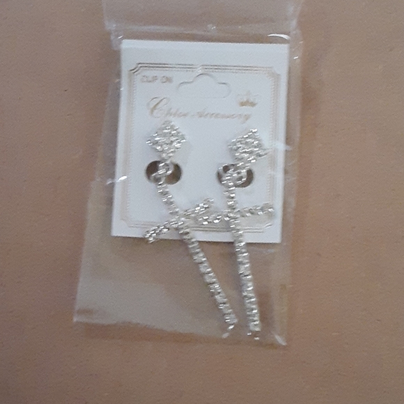 Chloe Accessory - Picture 2 of 6